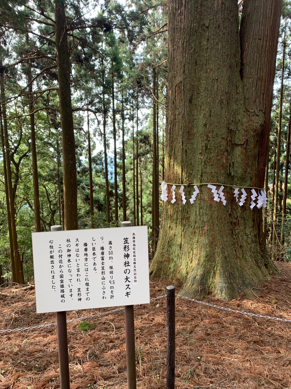 笠形山