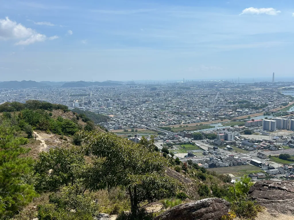 京見山