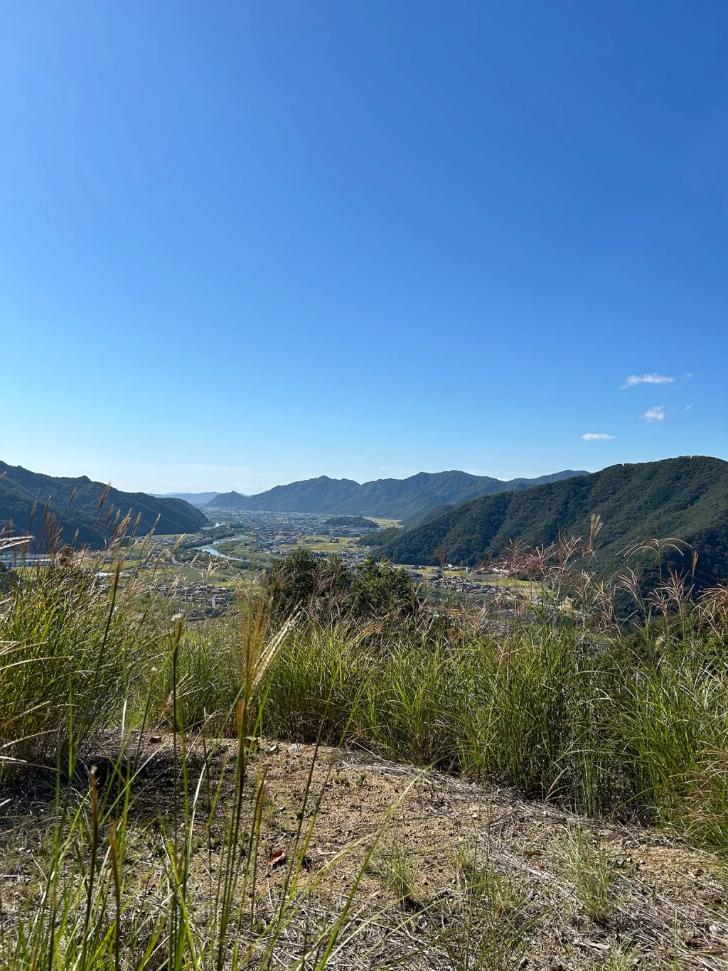 的場山